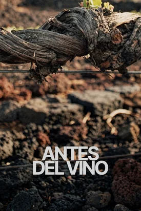 Antes del vino